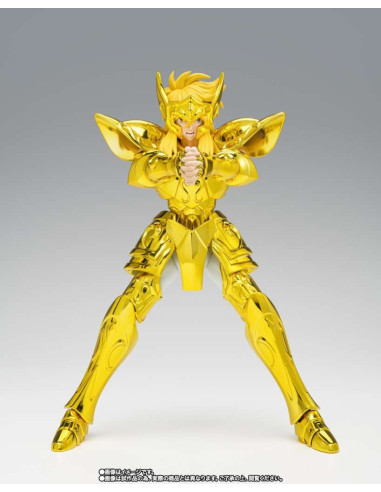 Myth Cloth Ex Aquarius Hyoga Inheritor Of The Gold Cloth