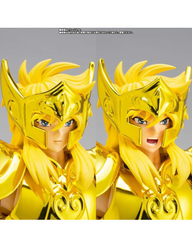 Myth Cloth Ex Aquarius Hyoga Inheritor Of The Gold Cloth