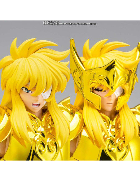 Myth Cloth Ex Aquarius Hyoga Inheritor Of The Gold Cloth