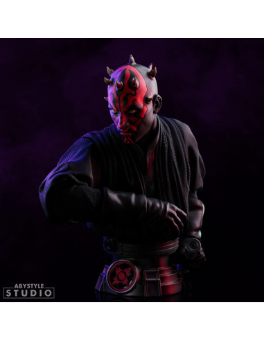 Figurine Star Wars - Darth Maul Buste SB6