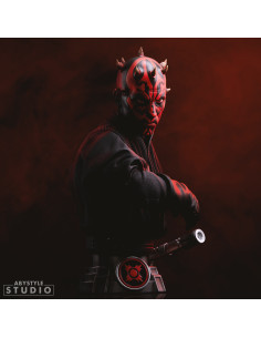 Figurine Star Wars - Darth Maul Buste SB6