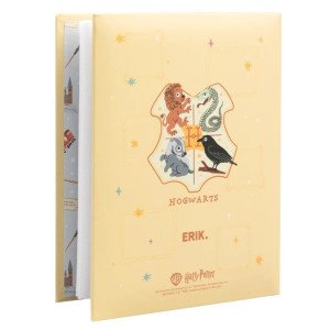 Album photo Harry Potter 100 pochettes 10x15 cm avec couverture Dobby is free sur fond jaune pastel 2