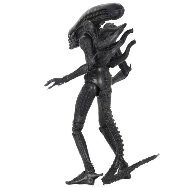 Figurine Alien Big Chap 1979 Ultimate 40th Anniversary vue arrière avec détails biomécaniques