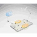 Socle Officiel BANDAI EX